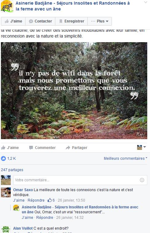asinerie badjâne
